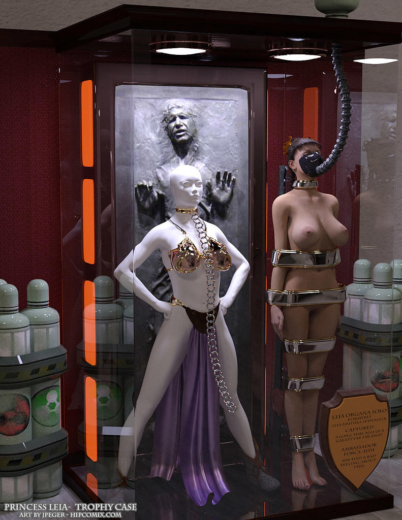 Princess Leia Trophy Case